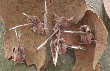 P3310861a.